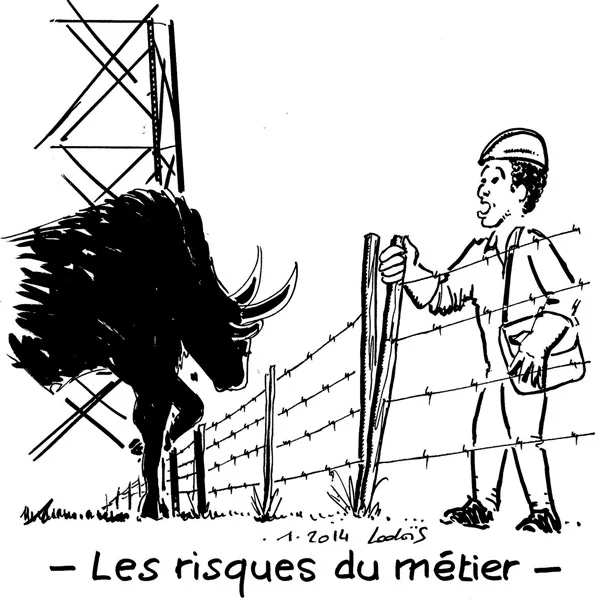 RTE, Réseau de transport d'électricité, est le gestionnaire de réseau de transport français, ici, avec les risques du métier